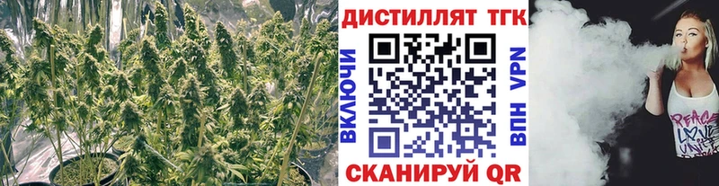 Дистиллят ТГК гашишное масло Темрюк