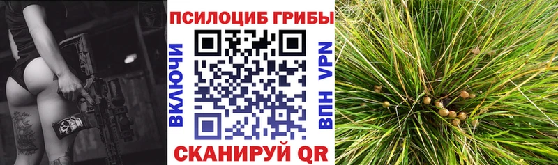 нарко площадка состав  купить наркотик  Темрюк  Галлюциногенные грибы Cubensis 